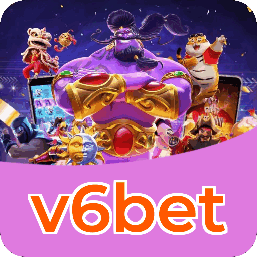 v6bet VIP — segmentação e política de privacidade da plataforma